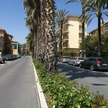 Bouganvillea Bordighera
