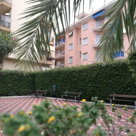 Bouganvillea *